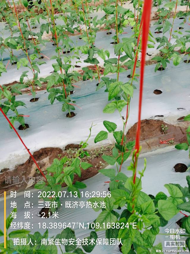 请输入内容…