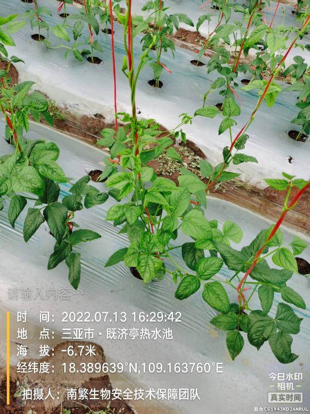 请输入内容…