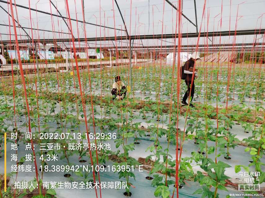 请输入内容…