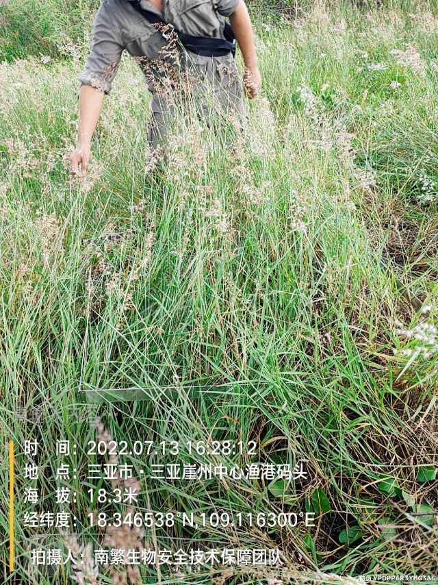 请输入内容…