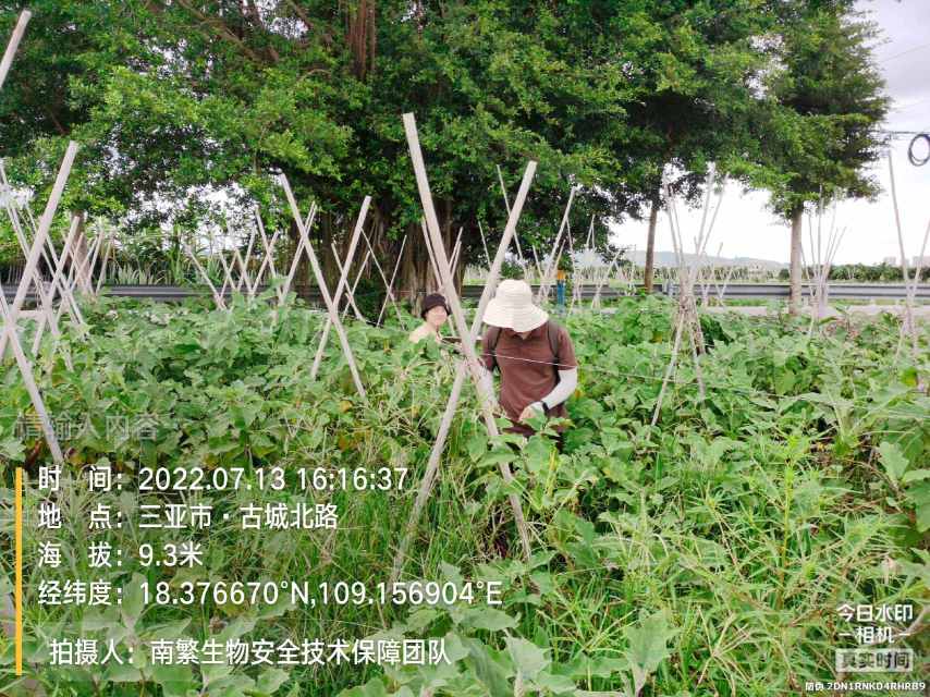 请输入内容…