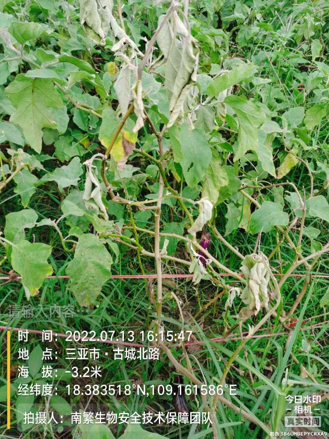 请输入内容…