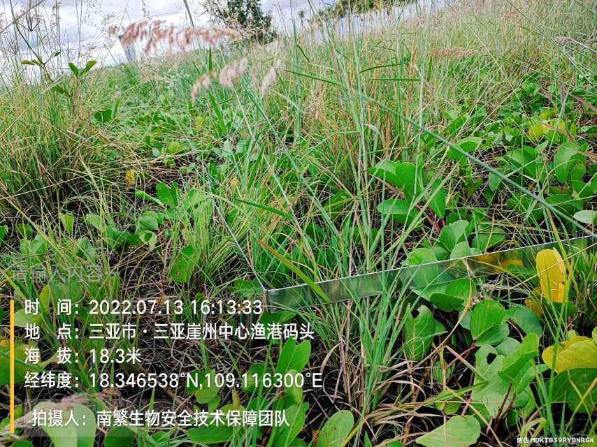 请输入内容…