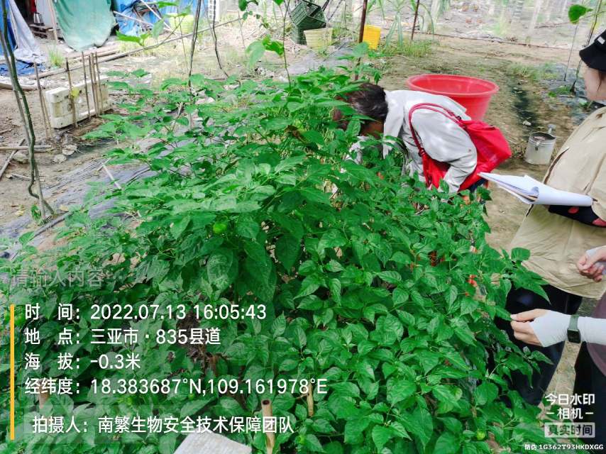 请输入内容…