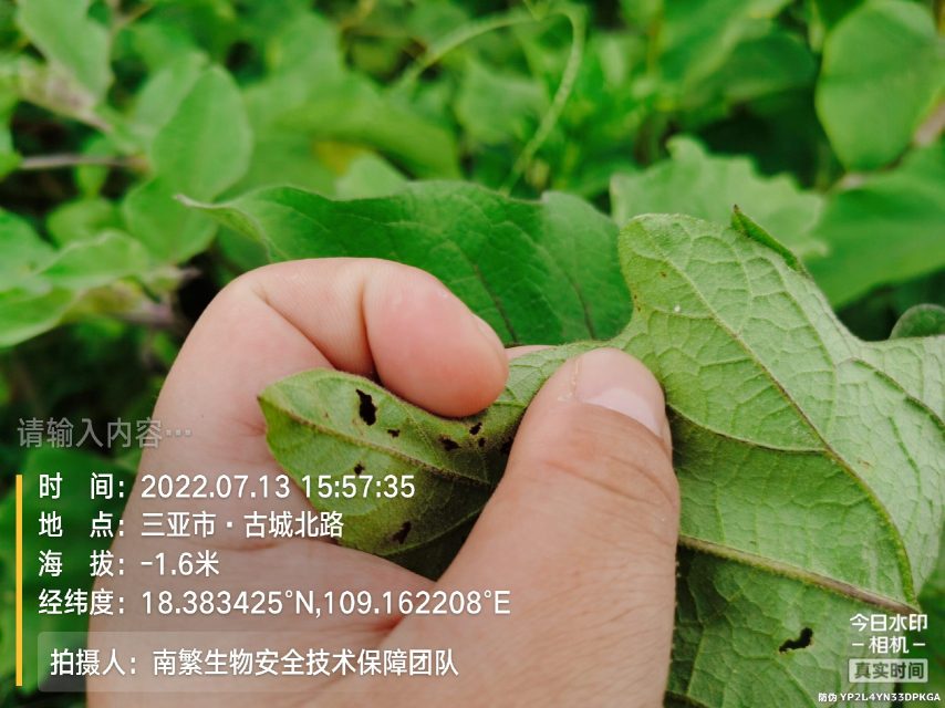 请输入内容…