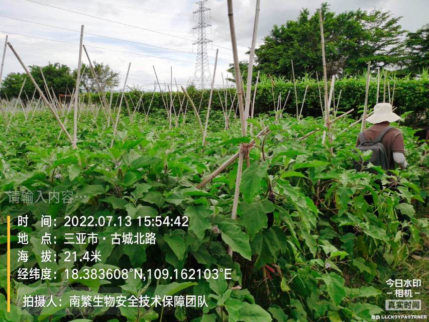 请输入内容…
