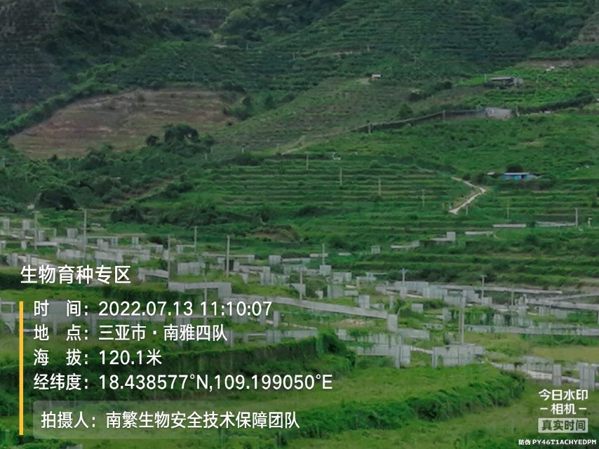 生物育种专区