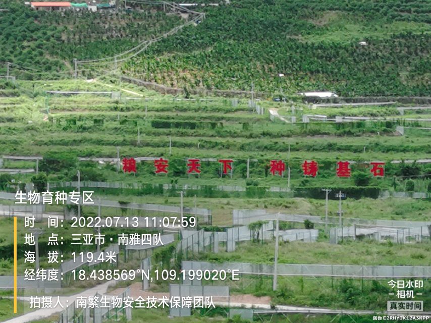 生物育种专区
