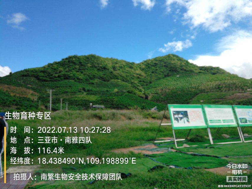 生物育种专区