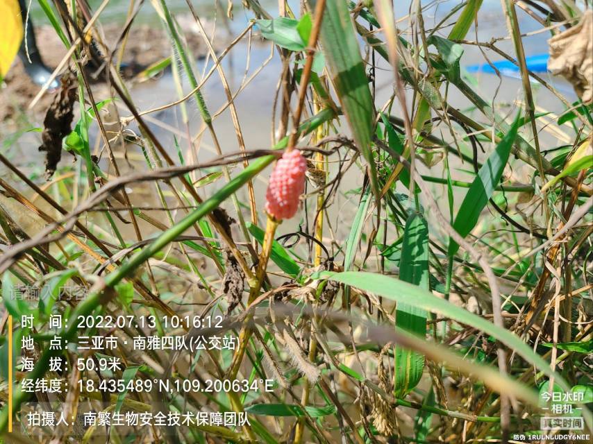 请输入内容…