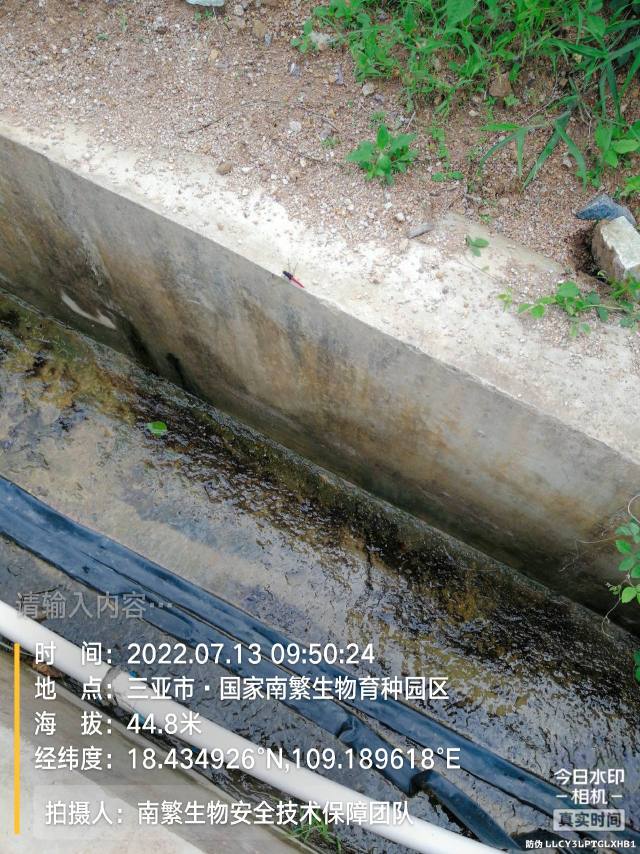 请输入内容…