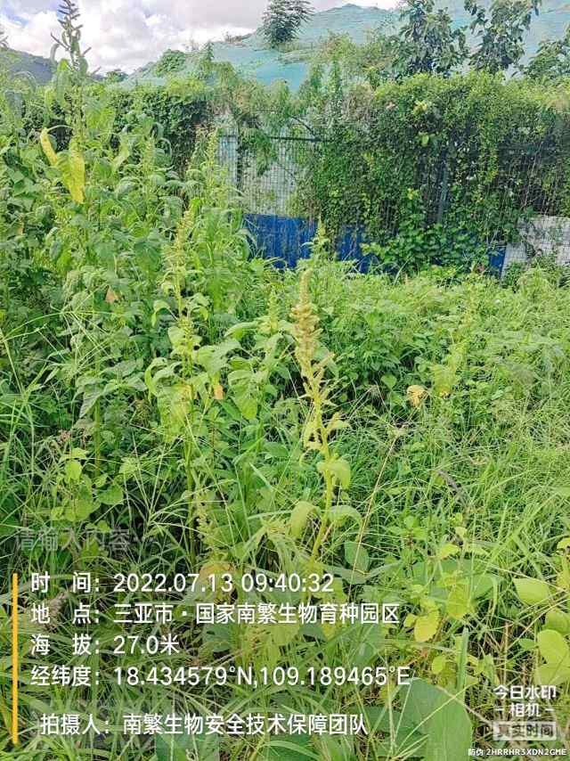 请输入内容…