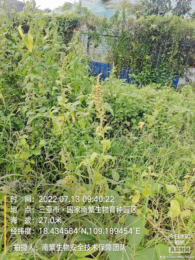 请输入内容…