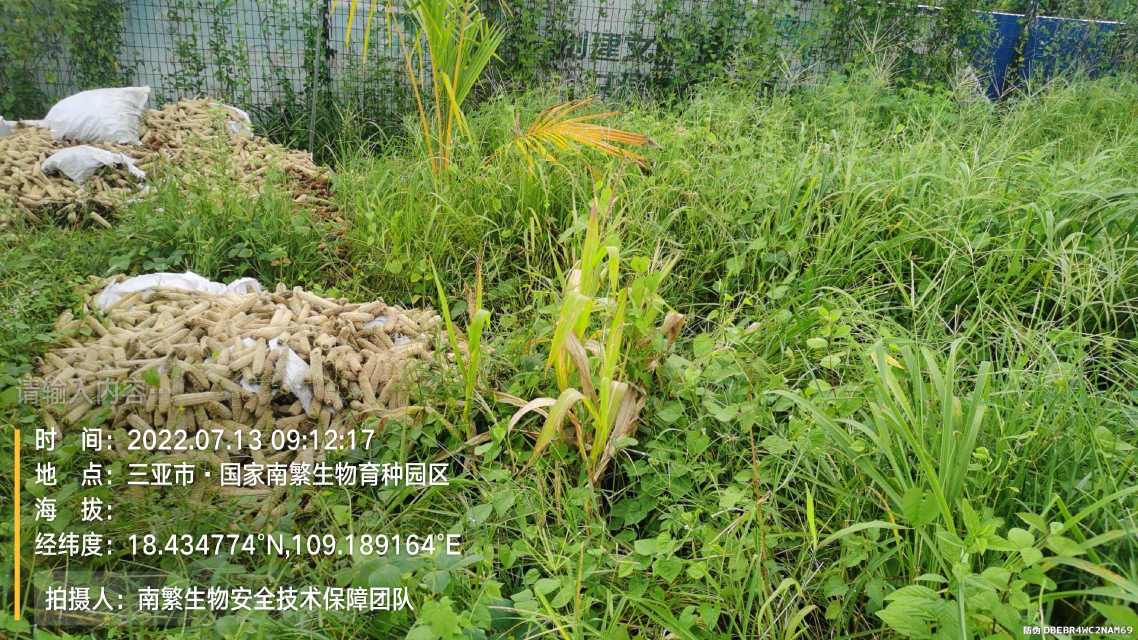 请输入内容…
