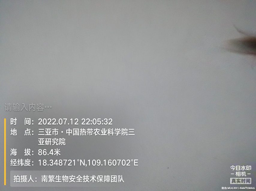 请输入内容…