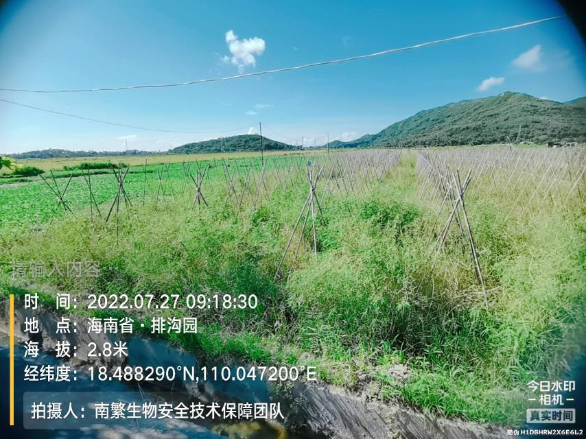 请输入内容…