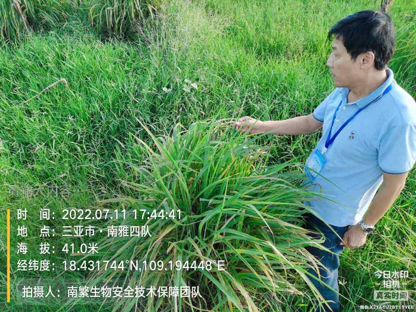 请输入内容…