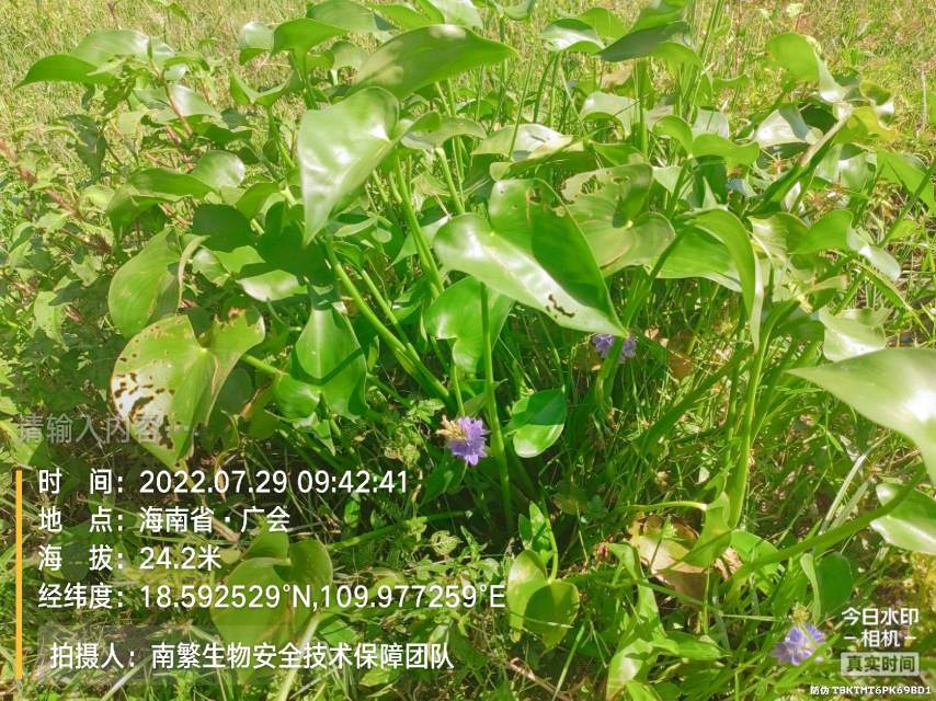 请输入内容…