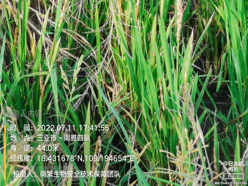 请输入内容…