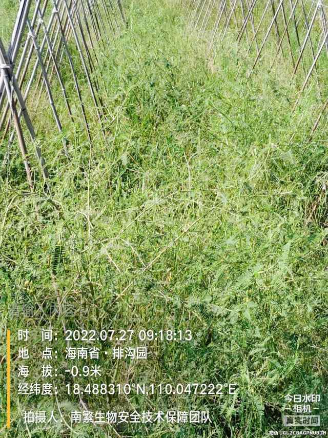 请输入内容…
