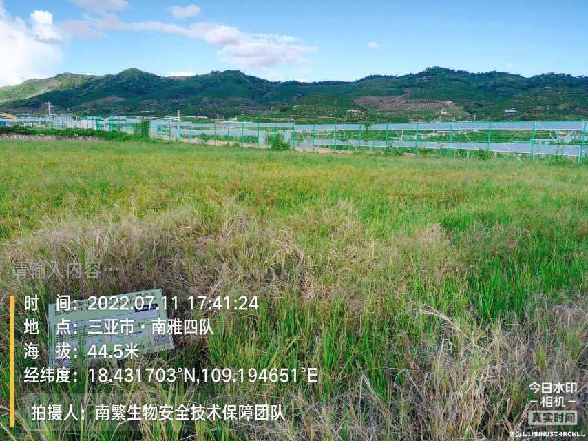 请输入内容…