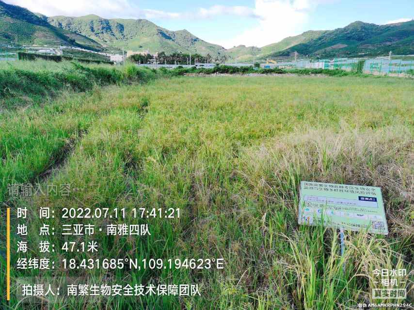 请输入内容…