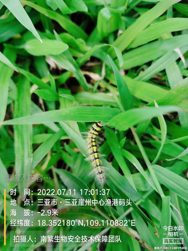 请输入内容…
