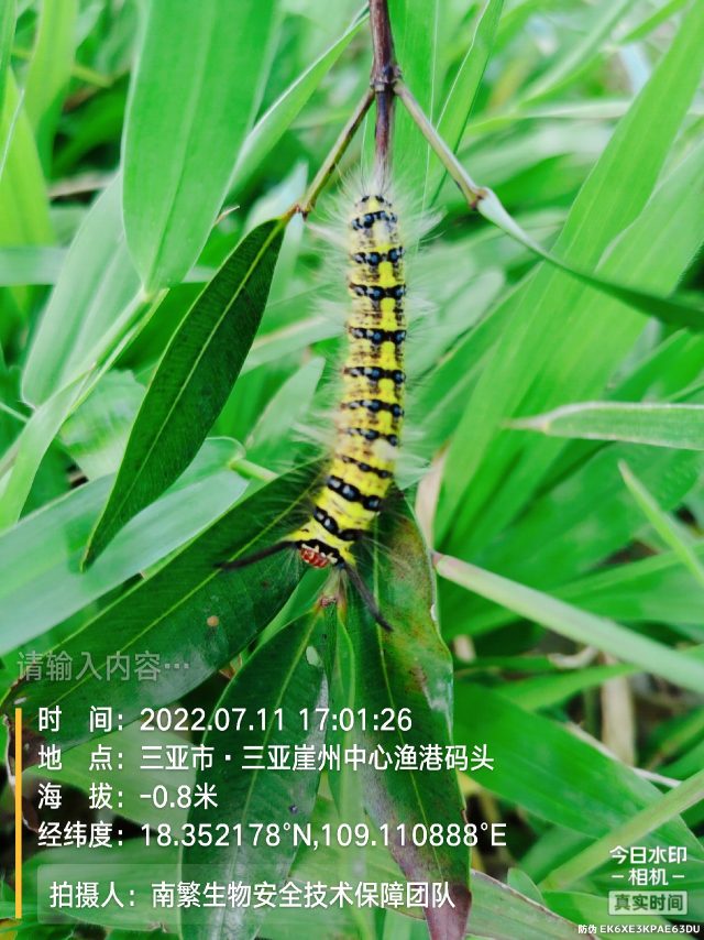 请输入内容…