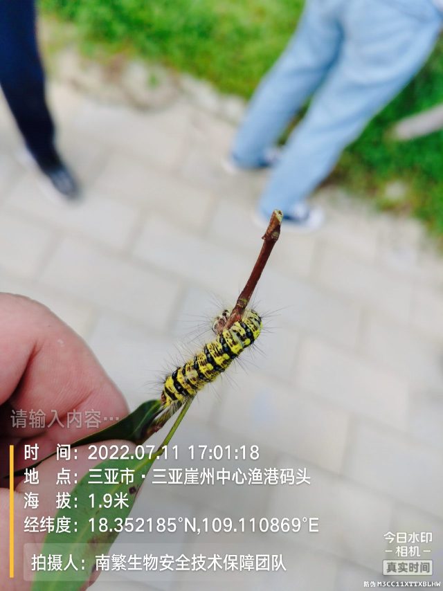 请输入内容…