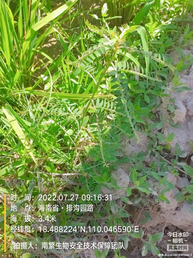 请输入内容…