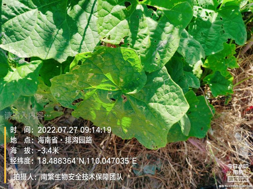 请输入内容…