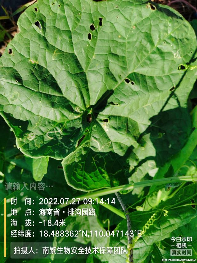 请输入内容…