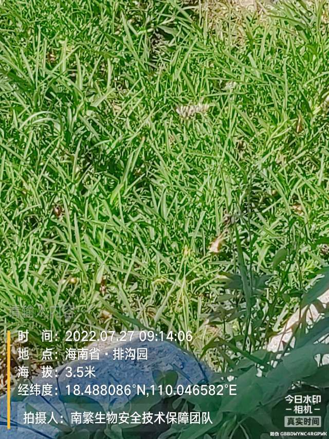 请输入内容…