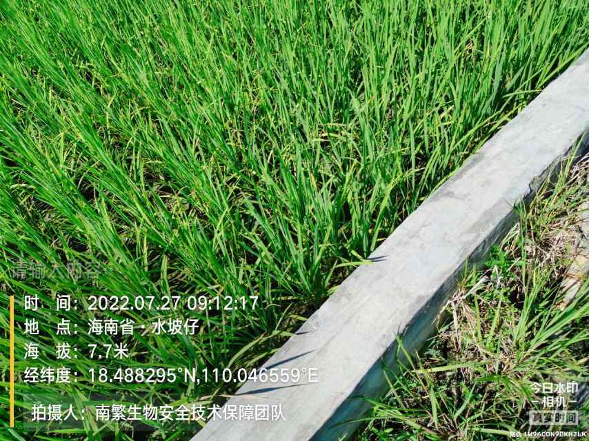 请输入内容…