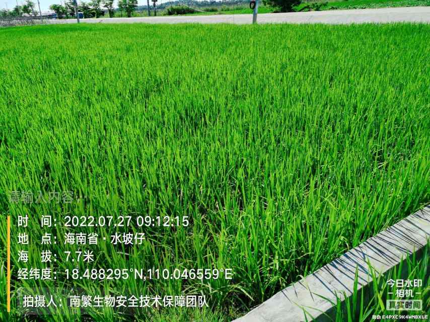请输入内容…