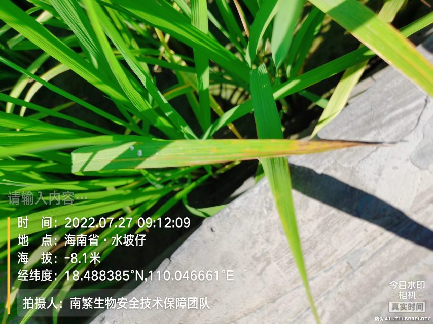 请输入内容…