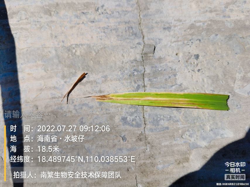 请输入内容…