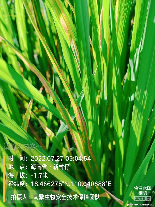 请输入内容…