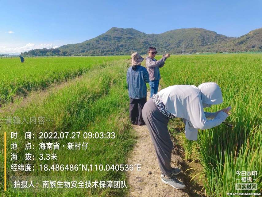 请输入内容…