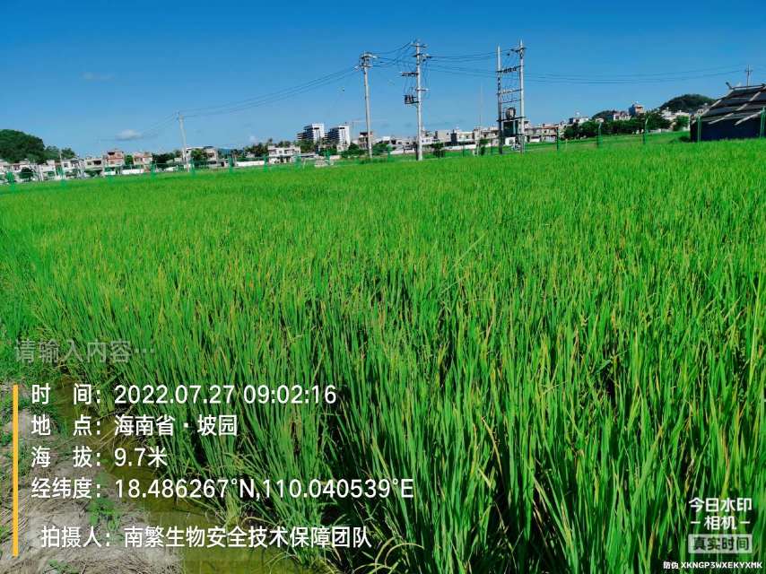请输入内容…