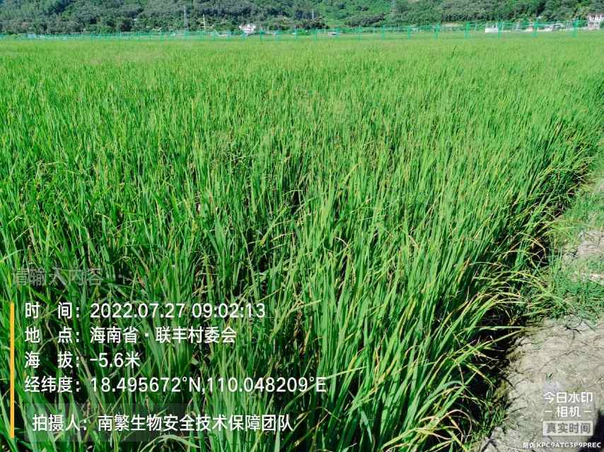请输入内容…