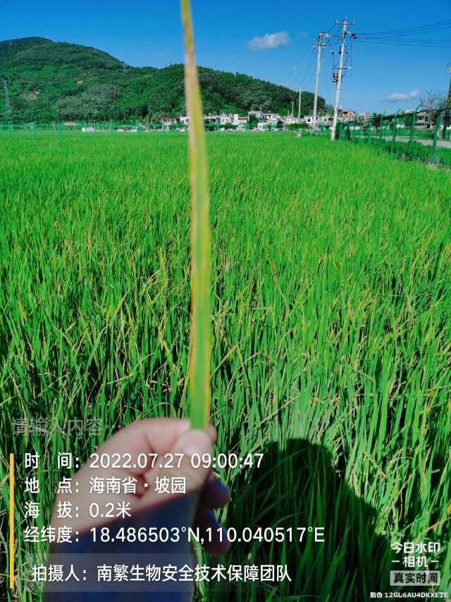 请输入内容…