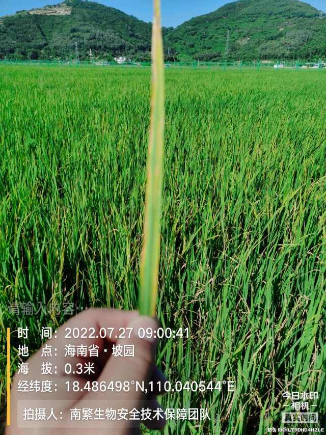 请输入内容…