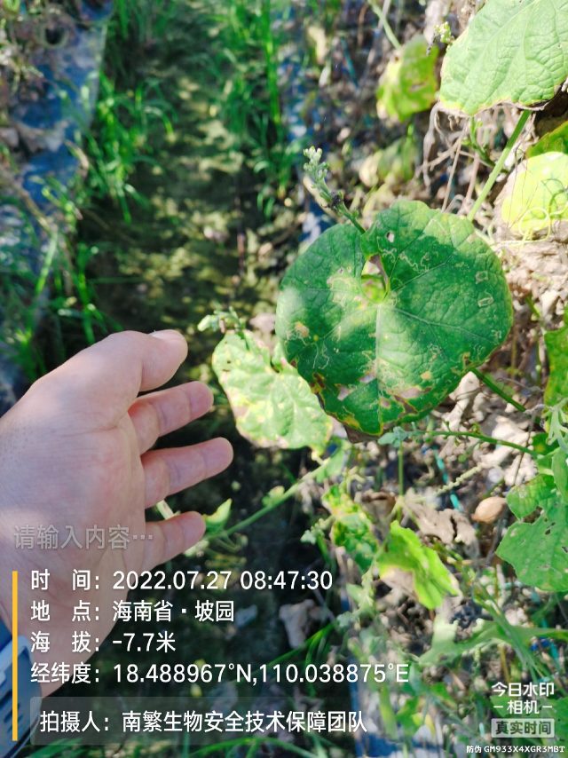 请输入内容…