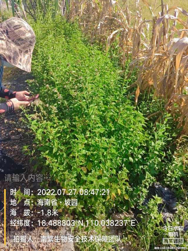 请输入内容…