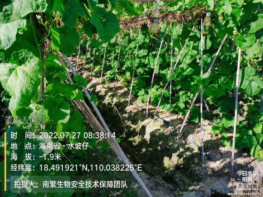 请输入内容…