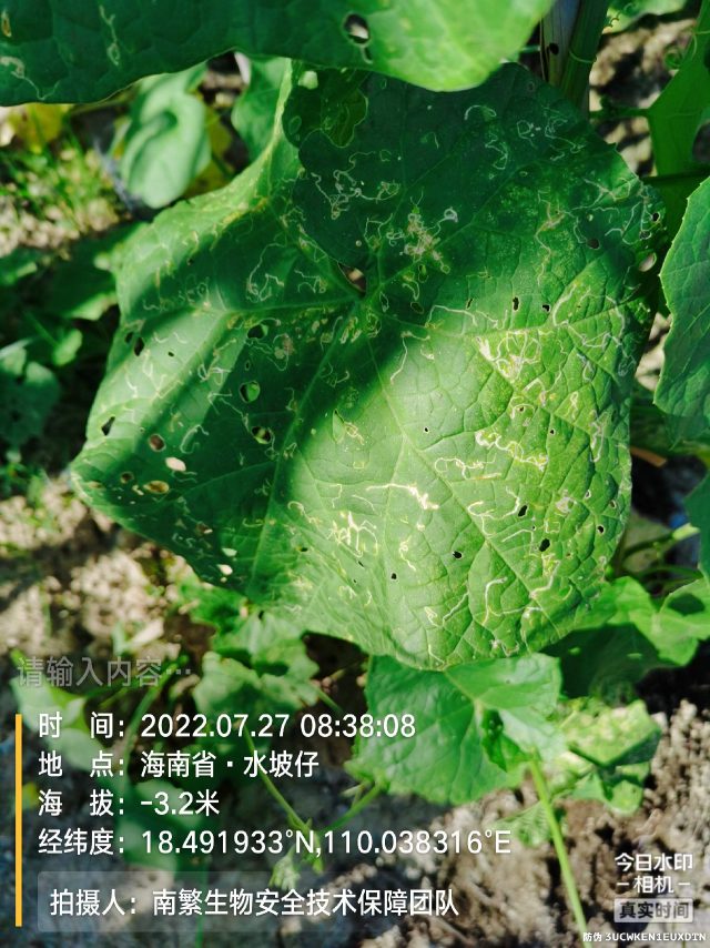 请输入内容…
