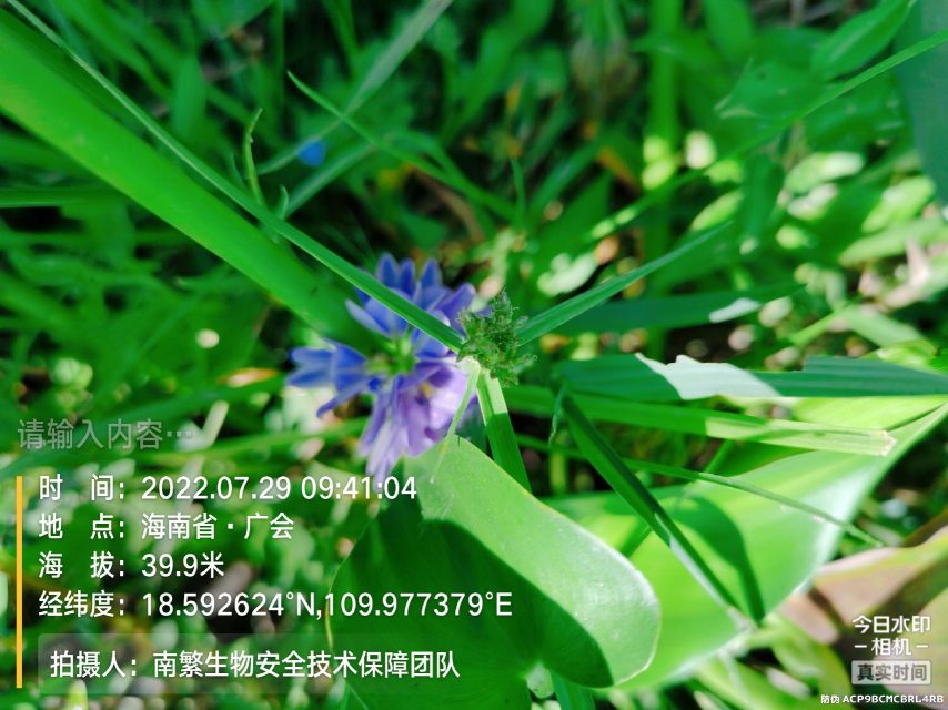 请输入内容…