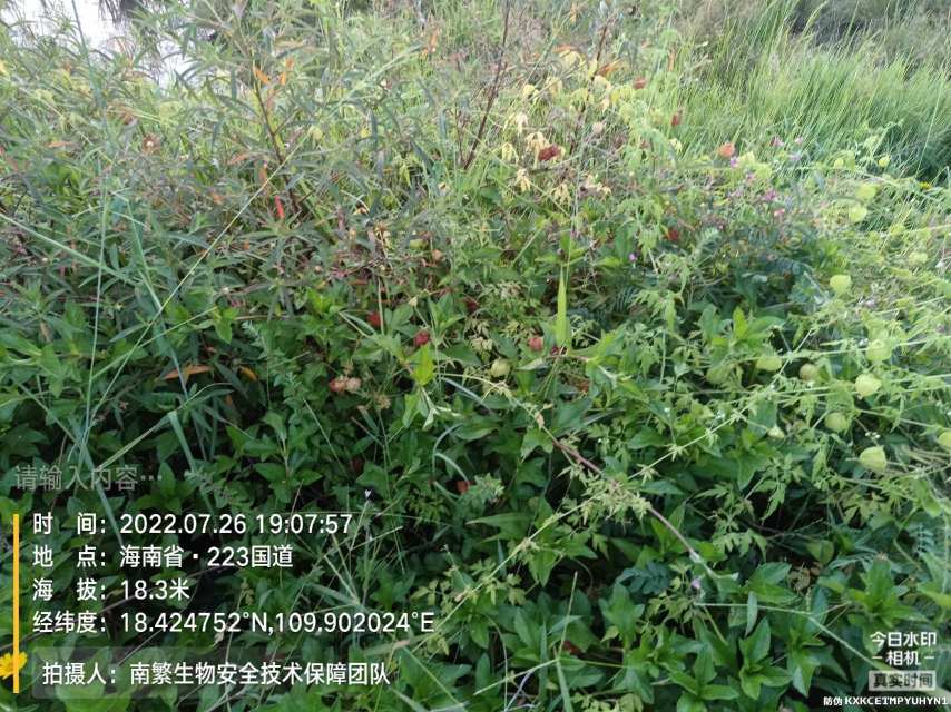 请输入内容…