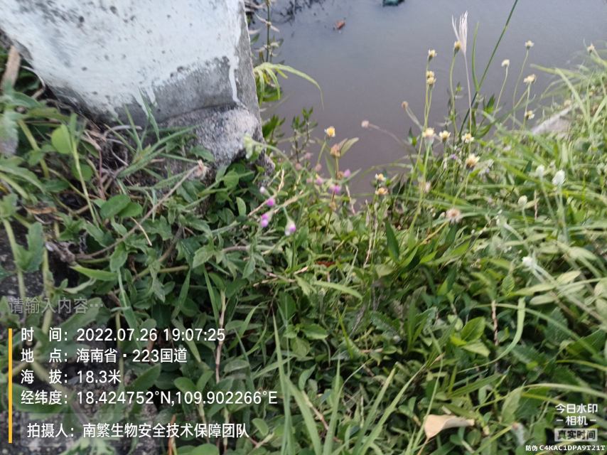请输入内容…
